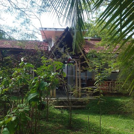 Home In The Island 坦加拉 外观 照片