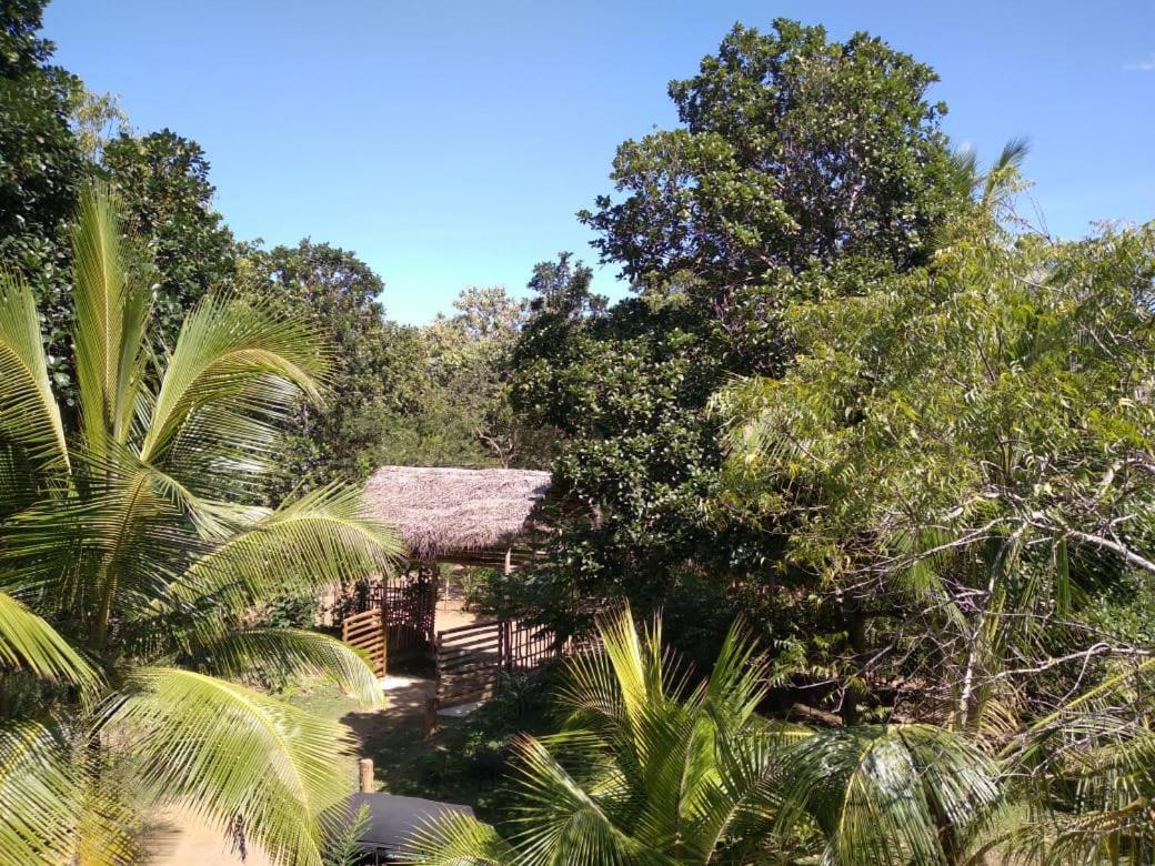 Home In The Island 坦加拉 外观 照片
