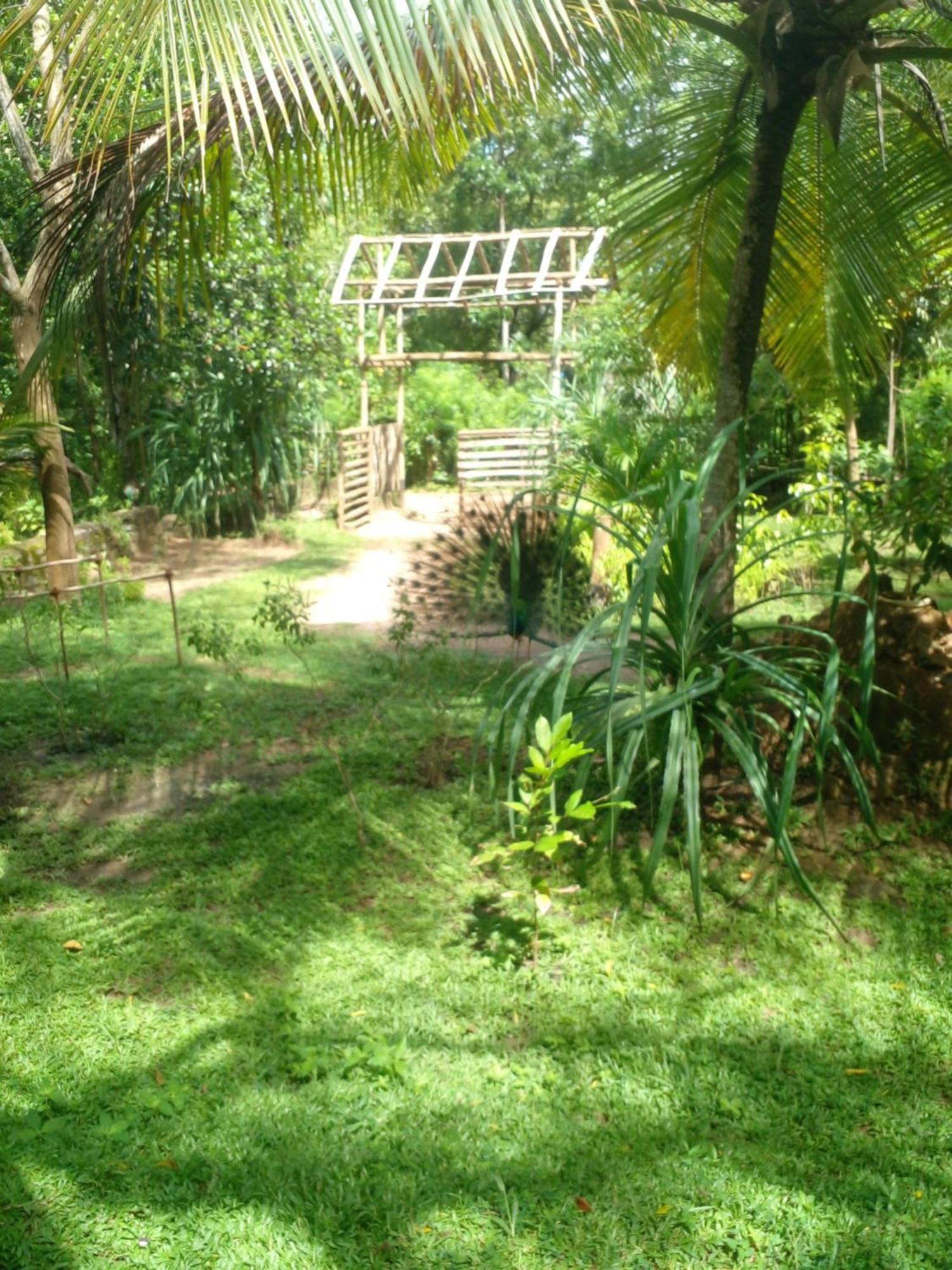 Home In The Island 坦加拉 外观 照片