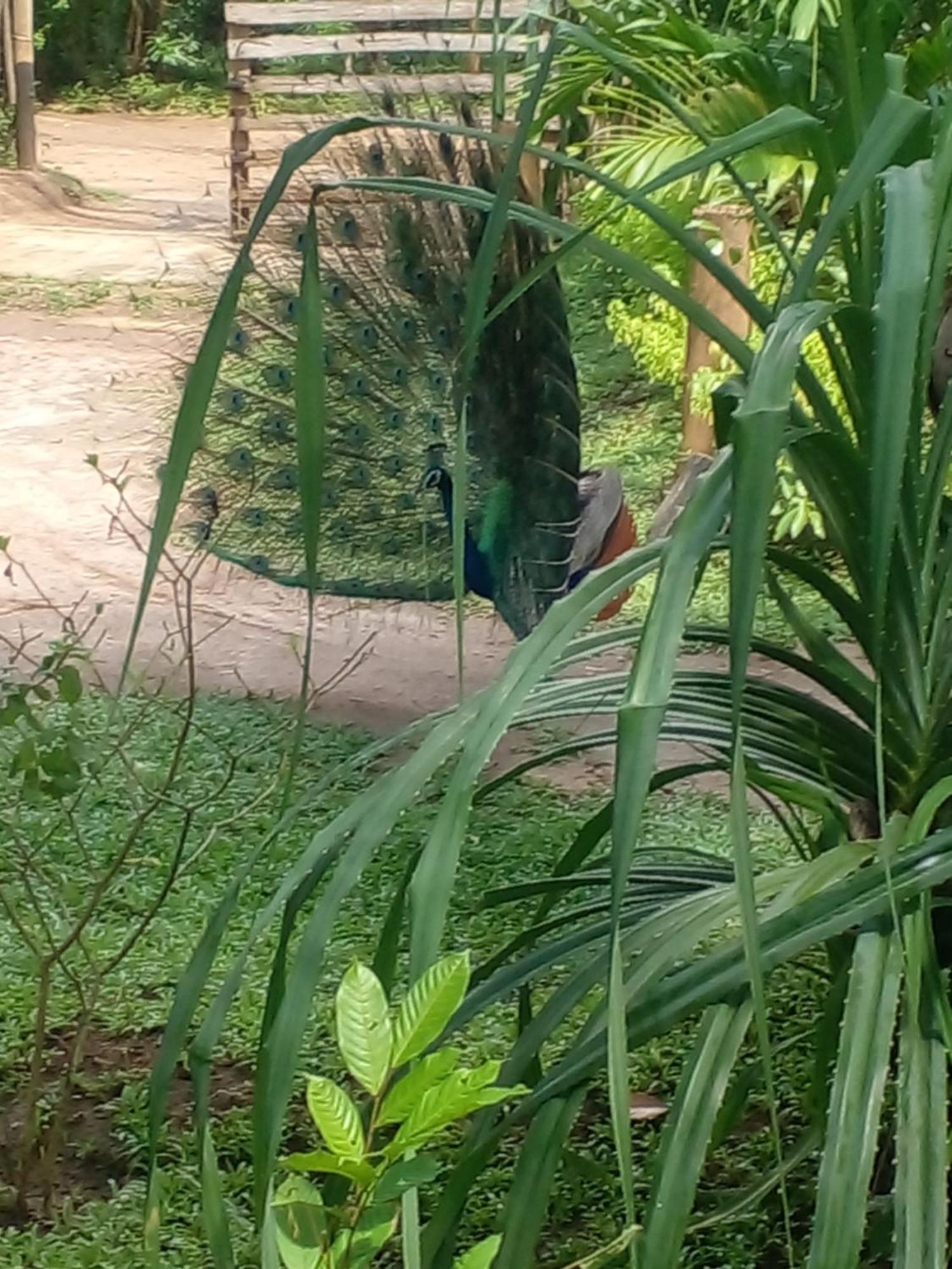 Home In The Island 坦加拉 外观 照片