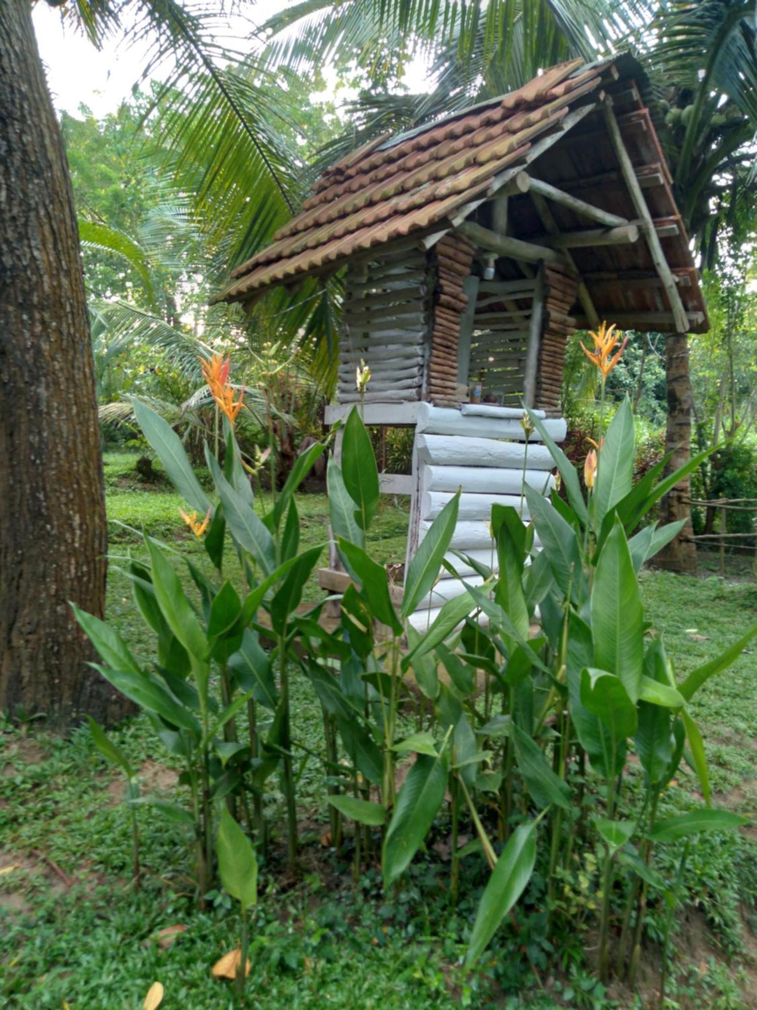 Home In The Island 坦加拉 外观 照片