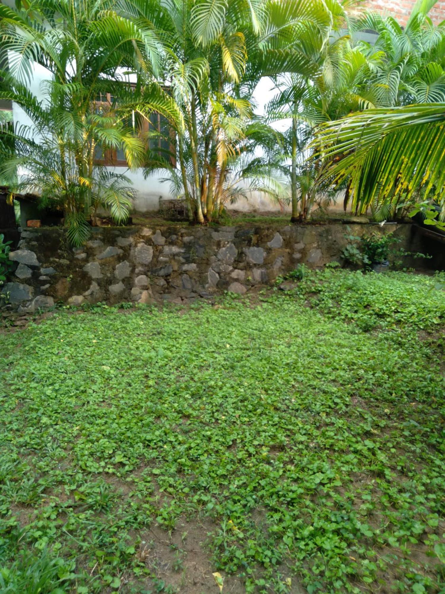 Home In The Island 坦加拉 外观 照片