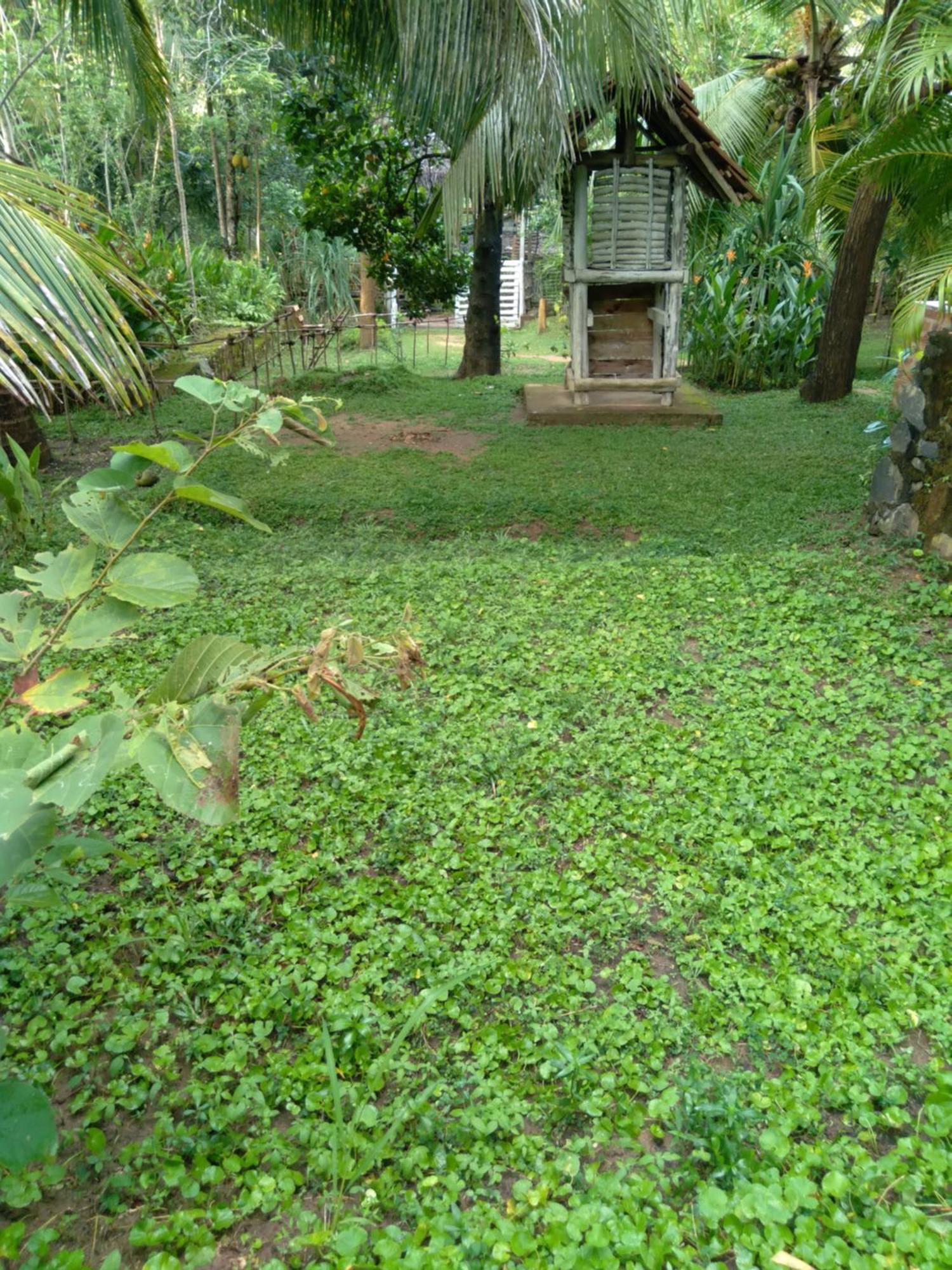 Home In The Island 坦加拉 外观 照片