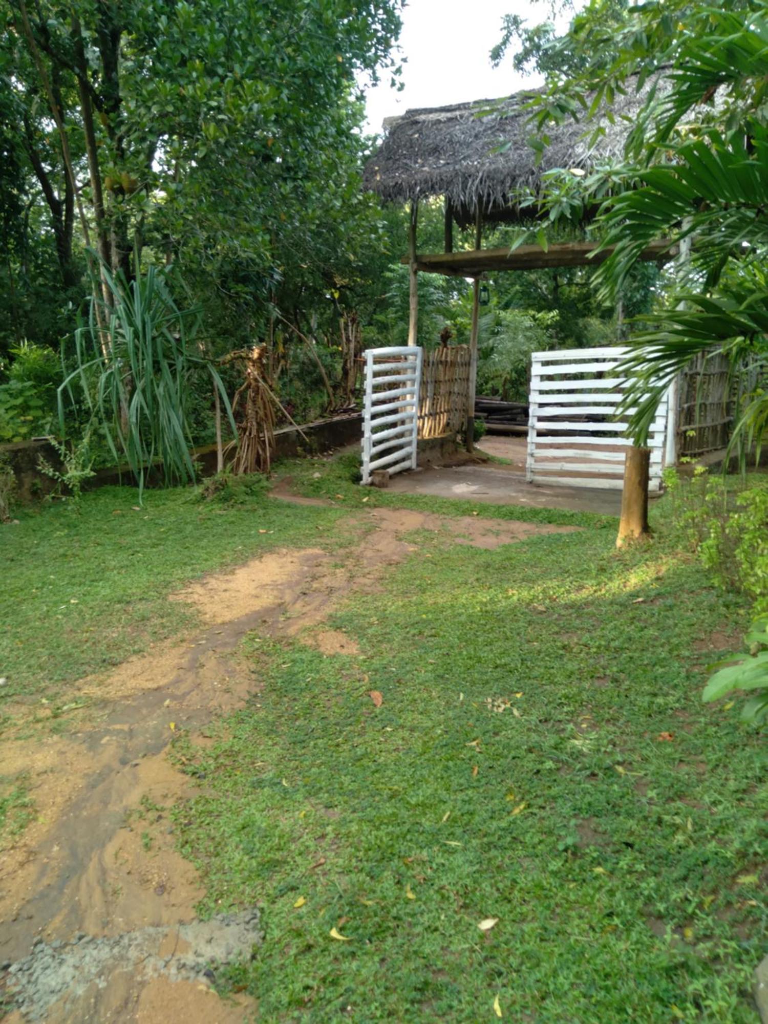 Home In The Island 坦加拉 外观 照片